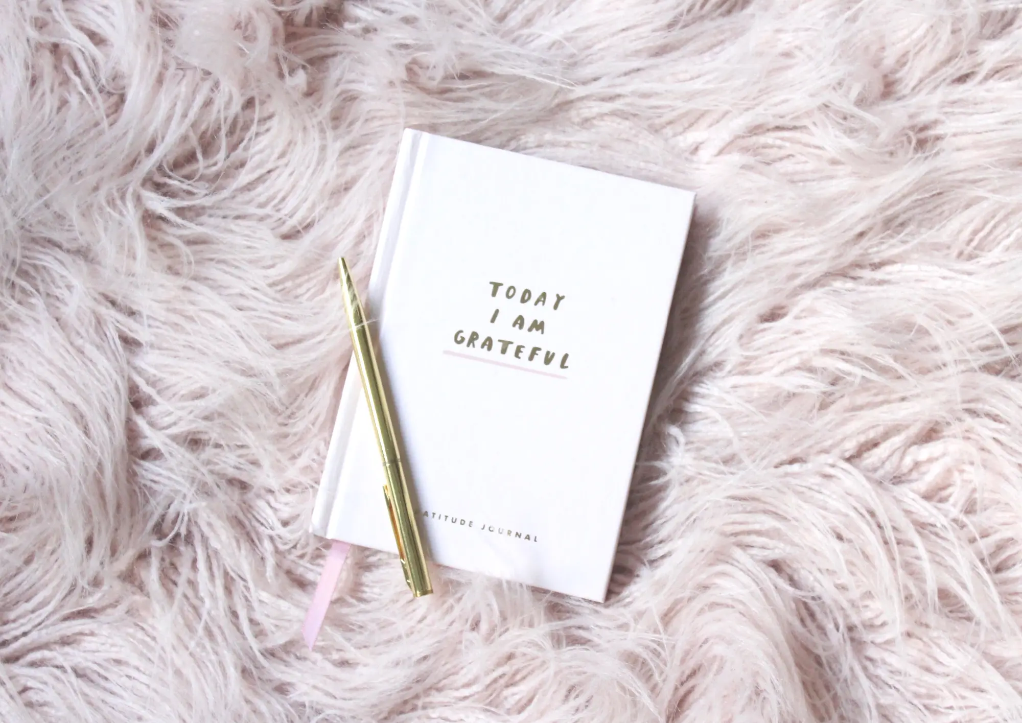 Gratitude reflection journal on a fluffy pink rug